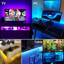 5m 10m RGB led strip 5050 USB 5V Smart 24keys Remote or APP Bluetooth Control music sync house room party TV led strip light